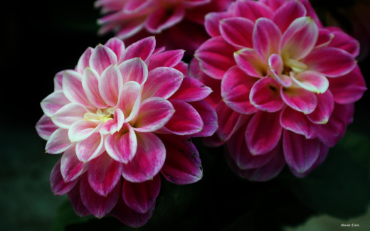 692497 (a): :2560x1600